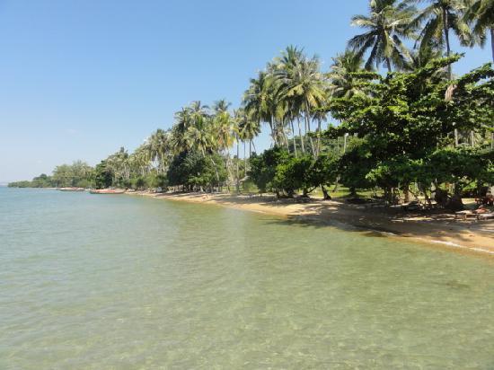 attraction-What to See In Kep Rabbit Island.jpg